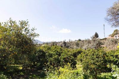 Bouwgrond te koop in Lecrín - 110934473 Bouwgrond te koop in Lecrín - 110934473