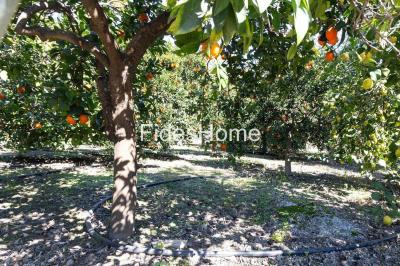 Bouwgrond te koop in Lecrín - 110941460 Bouwgrond te koop in Lecrín - 110941460