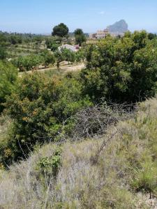 Parzelle zum verkauf in Gargasindi, Calpe - VPEND Parzelle zum verkauf in Gargasindi, Calpe - VPEND