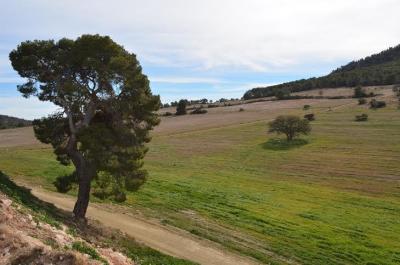 Tomt  till salu i Zona Centro-Corredera, Lorca - 04022026