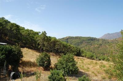 Villa in vendita a Centro - DPIe4104
