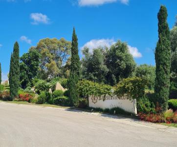 Villa til salg i San Enrique - Guadiaro - Pueblo Nuevo - DPIe16321 Villa til salg i San Enrique - Guadiaro - Pueblo Nuevo - DPIe16321