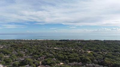 Building-site for sale in Urbanizaciones - AG19MLSC9618509