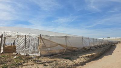Domaine à vendre à Zona Pueblo, Pilar de la Horadada - AG19MLSC4671691 Domaine à vendre à Zona Pueblo, Pilar de la Horadada - AG19MLSC4671691