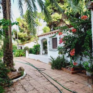 Lomas de Cabo Roig-Los Dolses فيلا للبيع - AG19151928 Lomas de Cabo Roig-Los Dolses فيلا للبيع - AG19151928