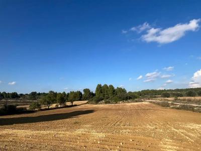 Country property for sale in Torre del Compte - 18 INFI 2260
