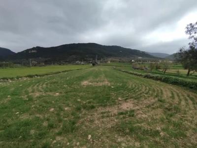 Country property for sale in Peñarroya de Tastavins - 12 INFI 2343