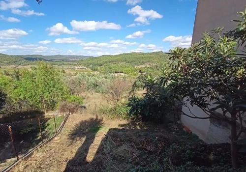 Parcela en venta en Lledó - 5 INSO 1725 Parcela en venta en Lledó - 5 INSO 1725
