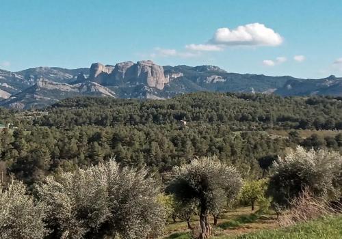 Parcela en venta en Lledó - 5 INSO 1665 Parcela en venta en Lledó - 5 INSO 1665
