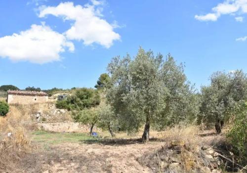 Finca zum verkauf in Mazaleón - 34 INFI 1729