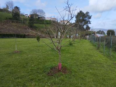 Plot for sale in Pontedeume - 159