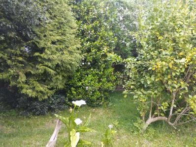 House for sale in San Sadurniño - 206