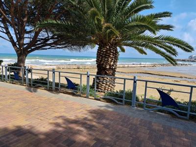 Premises for sale in Alcossebre - PPRAEP406104-13 Premises for sale in Alcossebre - PPRAEP406104-13