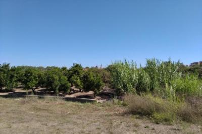 出售地块Zona Pueblo - HRFGJM151892-17