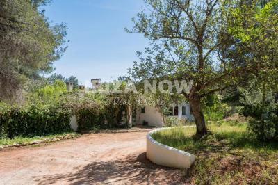 Masseria in vendita a Santa Eulalia del Río - 1236 Masseria in vendita a Santa Eulalia del Río - 1236