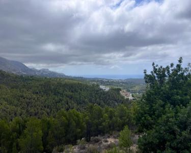Участок на продажу в Zona de Mascarat - S-1595949 Участок на продажу в Zona de Mascarat - S-1595949