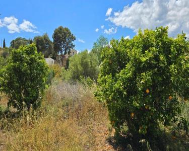 Plot for sale in La Nucia Pueblo - S-1596013 Plot for sale in La Nucia Pueblo - S-1596013