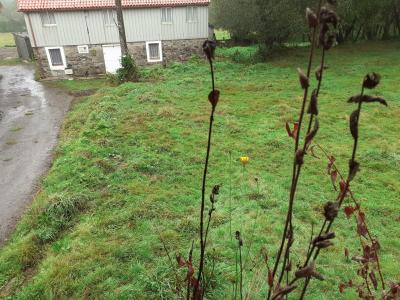 سوبرادو; Porto do Son; Sobrado;  منزل للبيع - 00079