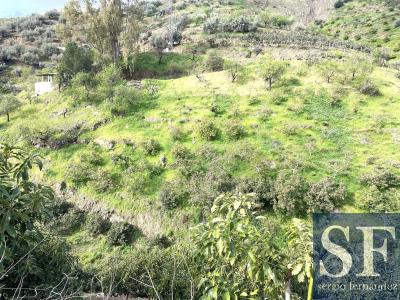 Villa for sale in Sayalonga - CV966
