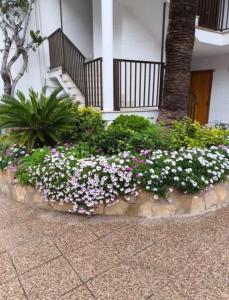 Piso in affitto a Santa Ponça, Calvià - A150926 Piso in affitto a Santa Ponça, Calvià - A150926