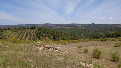 Finca en venta en Génave - 192