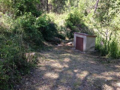 Finca en venta en Hornos - 198