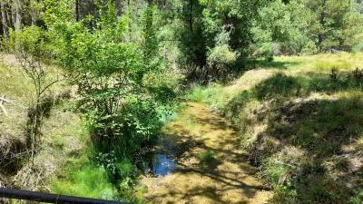 Finca en venta en Siles - 199