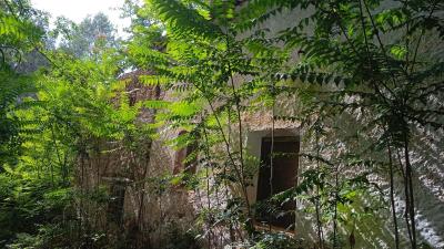 Finca en venta en Siles - 208
