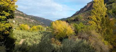 Finca en venta en Villanueva del Arzobispo - 213
