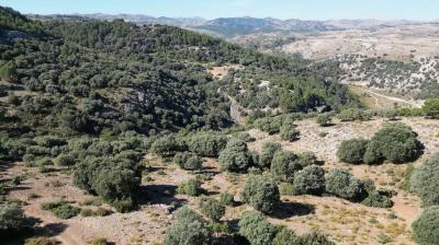 Finca en venta en Santiago-Pontones - 206