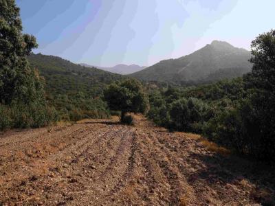 Finca en venta en Vilches - 168