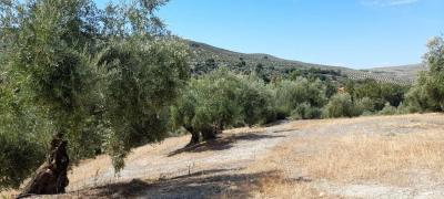 Finca en venta en Cazorla - 221