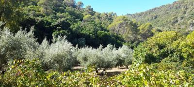 Finca en venta en Villacarrillo - 229