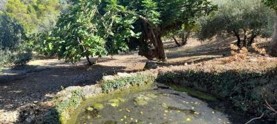 Finca en venta en Villacarrillo - 229
