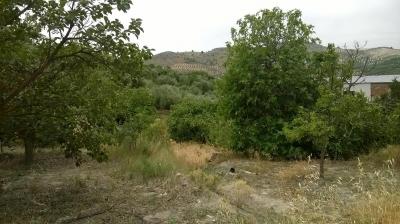 Finca en venta en Quesada - 68
