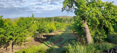 House for sale in Villacarrillo - 239