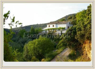 Finca en venta en Villanueva del Arzobispo - 007