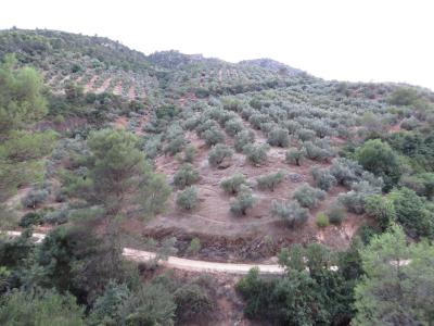 Plot for sale in Villacarrillo - 057 Plot for sale in Villacarrillo - 057