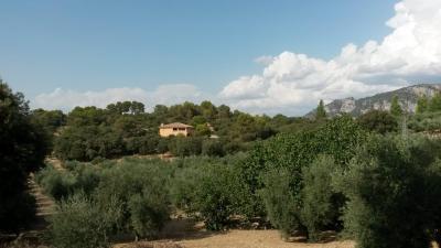 Chalet for sale in Villacarrillo - 151