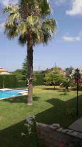 Finca en venta en Torreperogil - 156