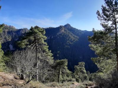 Chalet for sale in Iznatoraf - 160