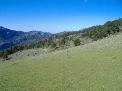 Finca en venta en Iznatoraf - 163