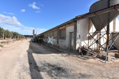 出售农场Camposol, Mazarrón - FINCACANADAS1