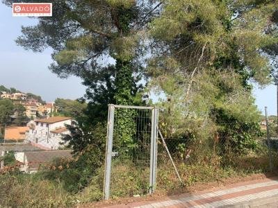 出售地块Mas Trader-Corral D’En Tort-Corral D’En Cona - FS419