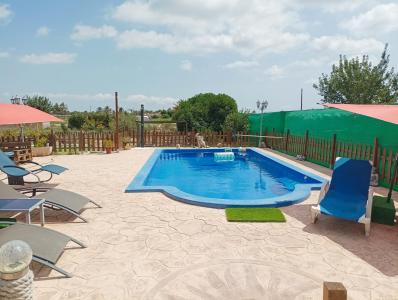 Finca te koop in Crevillent - JMSF21 Finca te koop in Crevillent - JMSF21