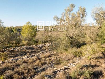 Parcella in vendita a El Perelló - 1032