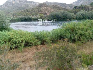 Country property for sale in Benifallet - 1065