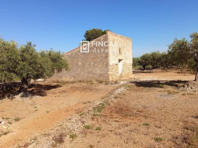 Country property for sale in L'Ampolla - 1095