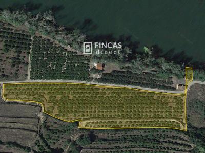 Country property for sale in Benifallet - 1067