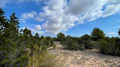 Plot for sale in San Francisco Javier - 06835 - Terreno Cap